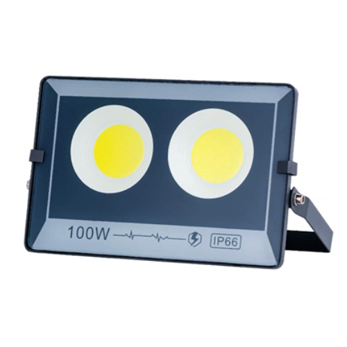 Reflector Led 100W 2 Led Luz Fria